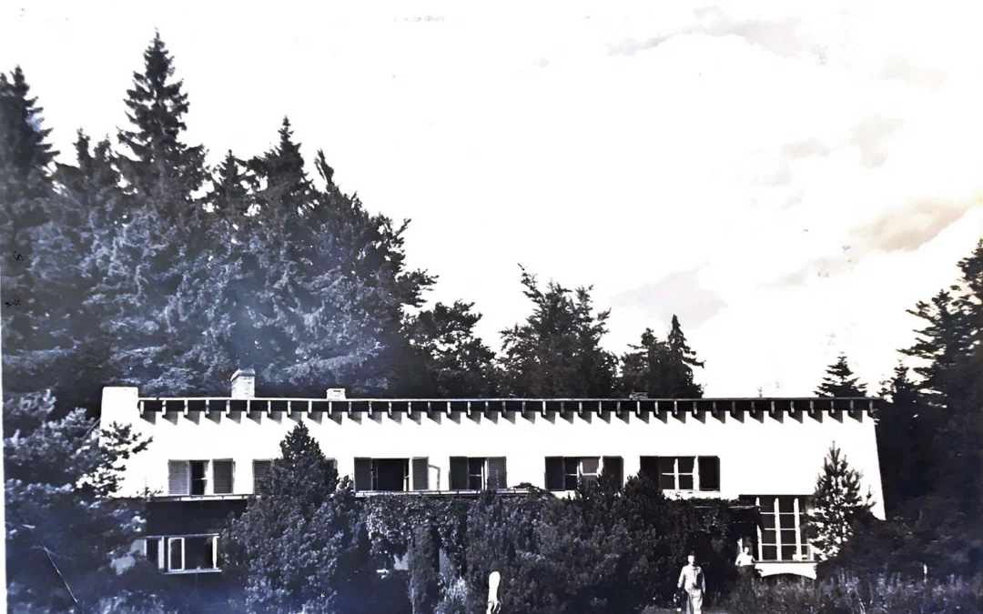 Prohlídka hotelu s majitelem