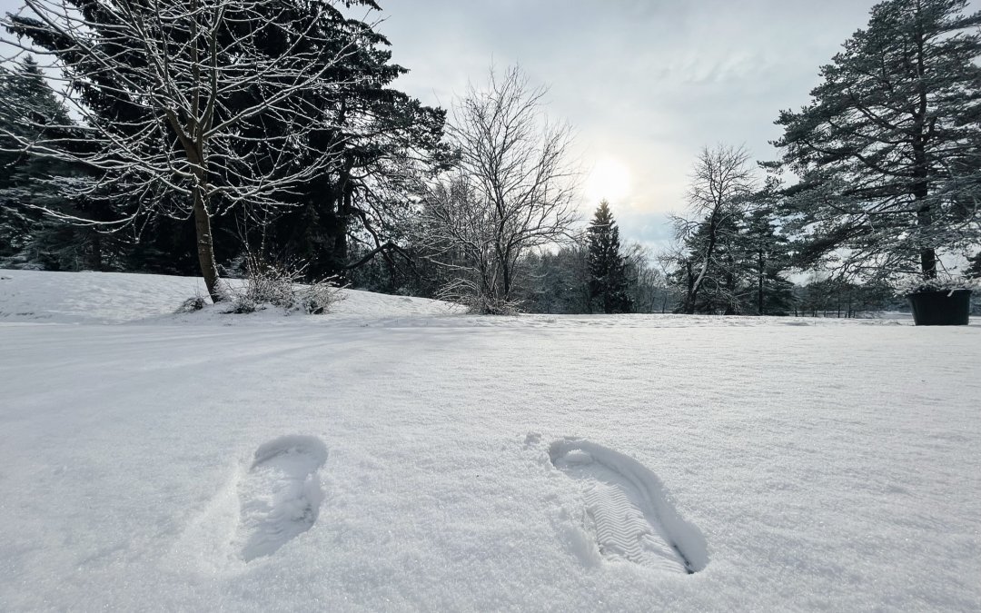 Silvestr na Medlově